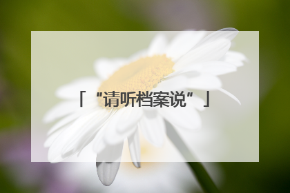 “请听档案说”