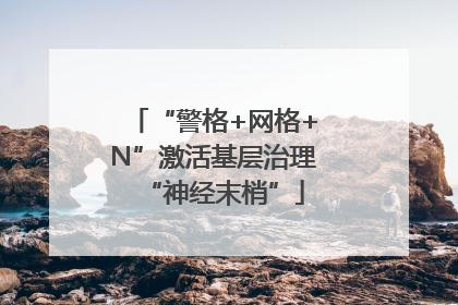“警格+网格+N”激活基层治理“神经末梢”