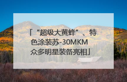 “超级大黄蜂”、特色涂装苏-30MKM 众多明星装备亮相