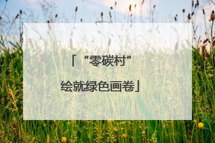 “零碳村” 绘就绿色画卷