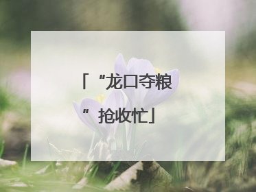 “龙口夺粮”抢收忙