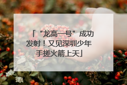 “龙高一号”成功发射！又见深圳少年手搓火箭上天