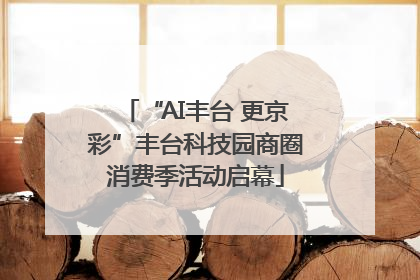 “AI丰台 更京彩”丰台科技园商圈消费季活动启幕