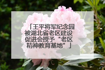 王平将军纪念园被湖北省老区建设促进会授予“老区精神教育基地”