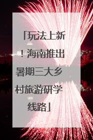 玩法上新！海南推出暑期三大乡村旅游研学线路