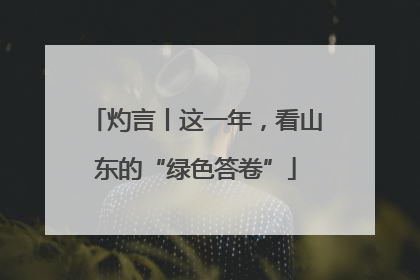灼言丨这一年，看山东的“绿色答卷”