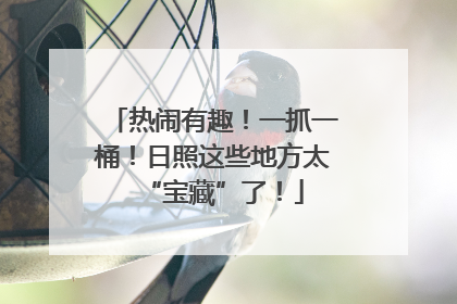 热闹有趣！一抓一桶！日照这些地方太“宝藏”了！
