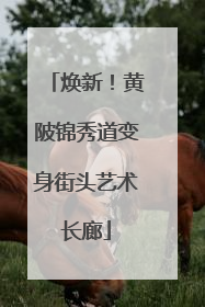 焕新！黄陂锦秀道变身街头艺术长廊