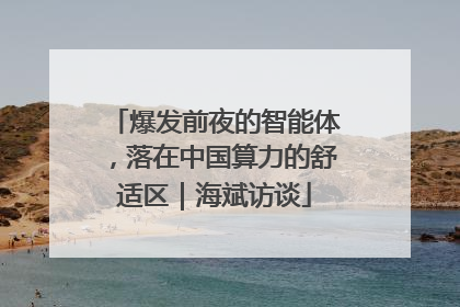 爆发前夜的智能体，落在中国算力的舒适区｜海斌访谈