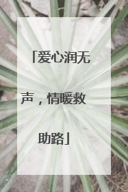 爱心润无声，情暖救助路