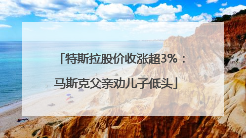特斯拉股价收涨超3%：马斯克父亲劝儿子低头