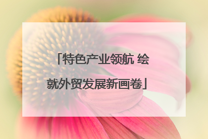 特色产业领航 绘就外贸发展新画卷