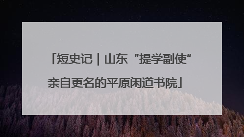 短史记｜山东“提学副使”亲自更名的平原闲道书院