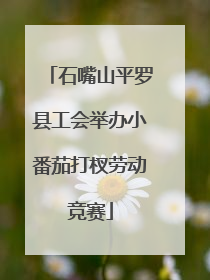 石嘴山平罗县工会举办小番茄打杈劳动竞赛