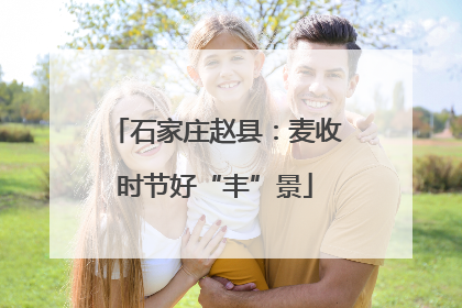 石家庄赵县：麦收时节好“丰”景