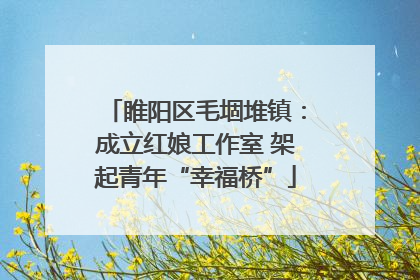 睢阳区毛堌堆镇：成立红娘工作室 架起青年“幸福桥”