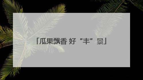 瓜果飘香 好“丰”景