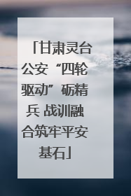 甘肃灵台公安“四轮驱动”砺精兵 战训融合筑牢平安基石