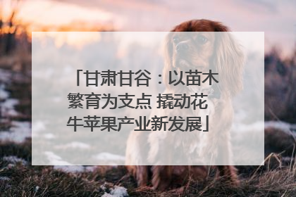 甘肃甘谷：以苗木繁育为支点 撬动花牛苹果产业新发展