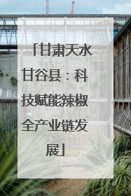 甘肃天水甘谷县：科技赋能辣椒全产业链发展