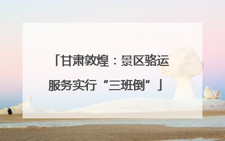 甘肃敦煌：景区骆运服务实行“三班倒”