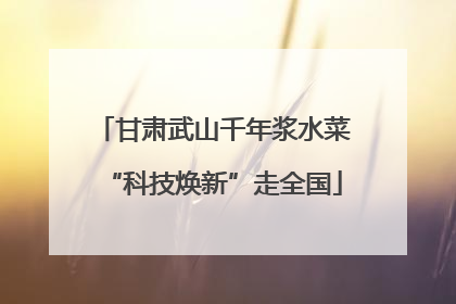 甘肃武山千年浆水菜“科技焕新”走全国