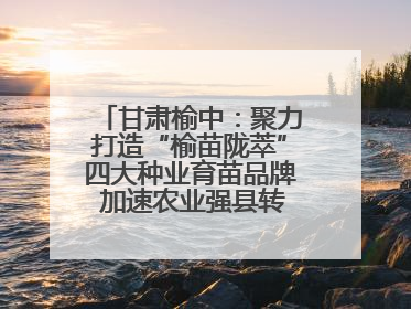 甘肃榆中：聚力打造“榆苗陇萃”四大种业育苗品牌 加速农业强县转型步伐