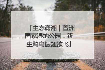 生态潇湘｜萱洲国家湿地公园：新生鹭鸟振翅欲飞