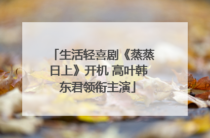 生活轻喜剧《蒸蒸日上》开机 高叶韩东君领衔主演
