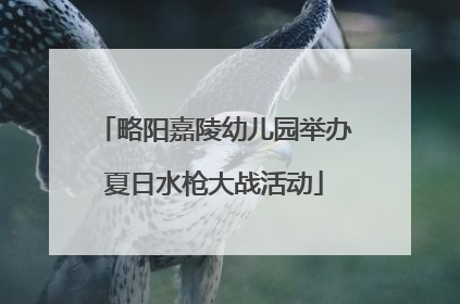 略阳嘉陵幼儿园举办夏日水枪大战活动