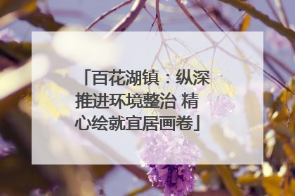 百花湖镇：纵深推进环境整治 精心绘就宜居画卷