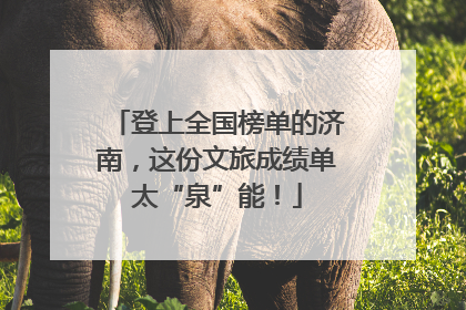 登上全国榜单的济南，这份文旅成绩单太“泉”能！
