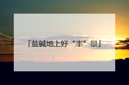 盐碱地上好“丰”景