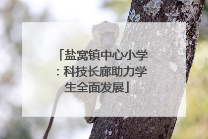 盐窝镇中心小学：科技长廊助力学生全面发展