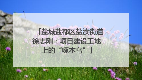 盐城盐都区盐渎街道徐志刚：项目建设工地上的“啄木鸟”