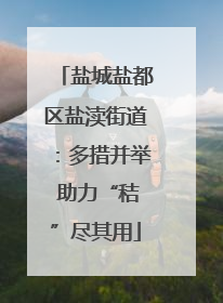 盐城盐都区盐渎街道：多措并举 助力“秸”尽其用