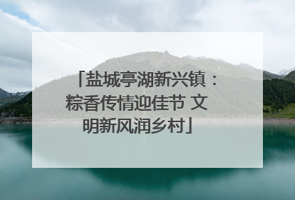 盐城亭湖新兴镇：粽香传情迎佳节 文明新风润乡村