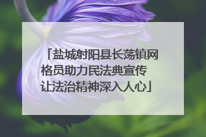 盐城射阳县长荡镇网格员助力民法典宣传 让法治精神深入人心