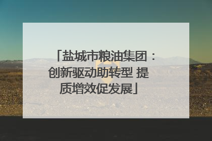 盐城市粮油集团：创新驱动助转型 提质增效促发展