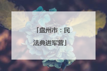 盘州市：民法典进军营
