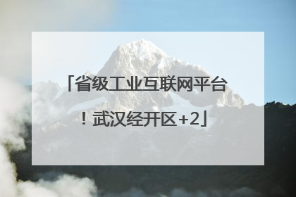 省级工业互联网平台！武汉经开区+2