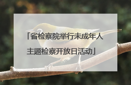 省检察院举行未成年人主题检察开放日活动