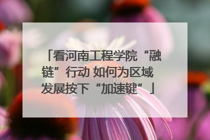 看河南工程学院“融链”行动 如何为区域发展按下“加速键”