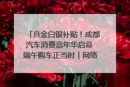 真金白银补贴！成都汽车消费嘉年华启幕 端午购车正当时｜网络中国节·端午