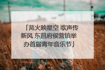 篝火映星空 歌声传新风 东昌府侯营镇举办首届青年音乐节
