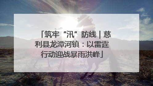 筑牢“汛”防线｜慈利县龙潭河镇：以雷霆行动迎战暴雨洪峰
