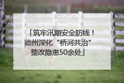 筑牢汛期安全防线！德州深化“桥河共治”整改隐患50余处
