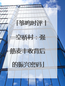 筝鸣时评丨一空桥村：强筋麦丰收背后的振兴密码