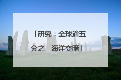 研究：全球逾五分之一海洋变暗