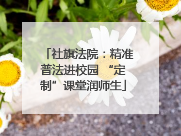 社旗法院：精准普法进校园 “定制”课堂润师生